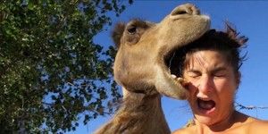 1 GREATEST-ANIMAL-PHOTOBOMBS-facebook