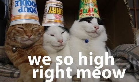 High Times Result In High Revenues For Colorado Residents