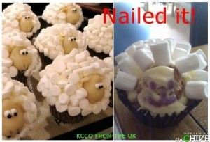 pomo0cysgk1tvd0