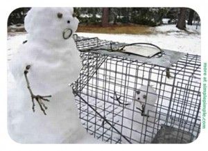 FB-Funny-Snowman-simplepimple.com-7