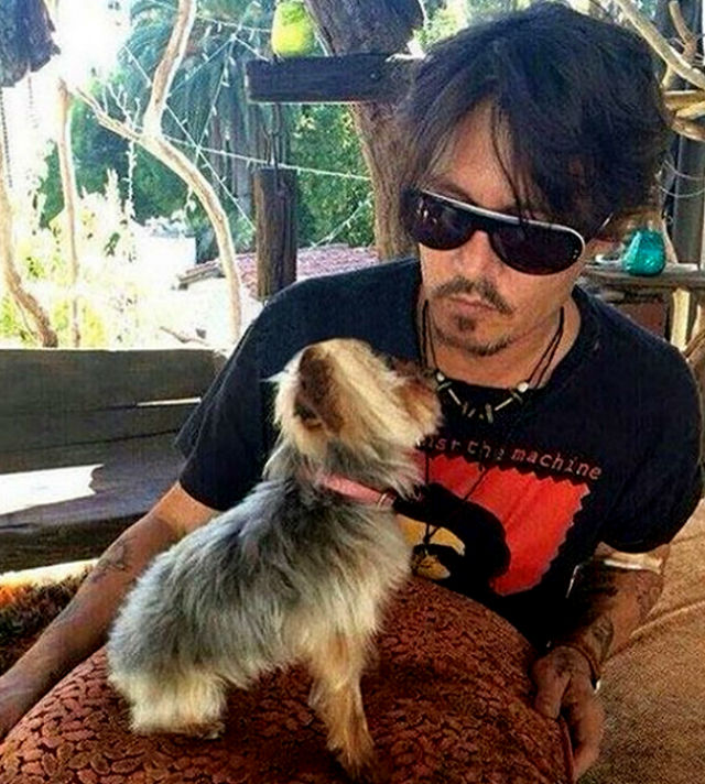 deppsdogs2