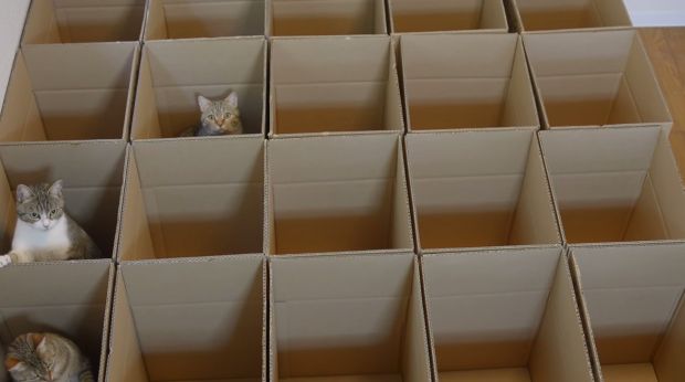 Screen Shot 2015-06-18 at 6.53.28 AM