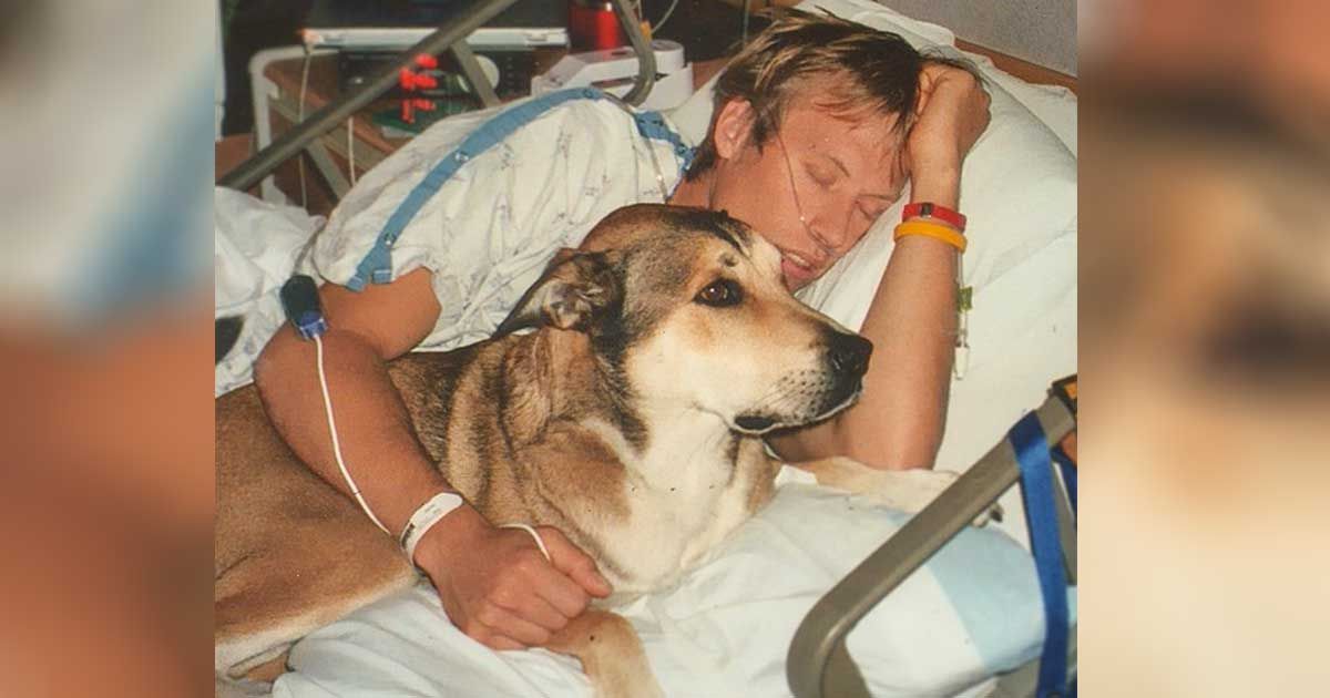 His Dog Refused To Abandon Him, So When The Tables Turn He Does This