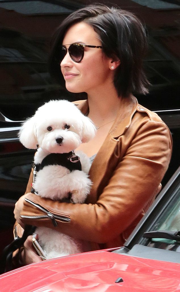 Demi Lovato Forced to say ‘Goodbye’ Too Soon