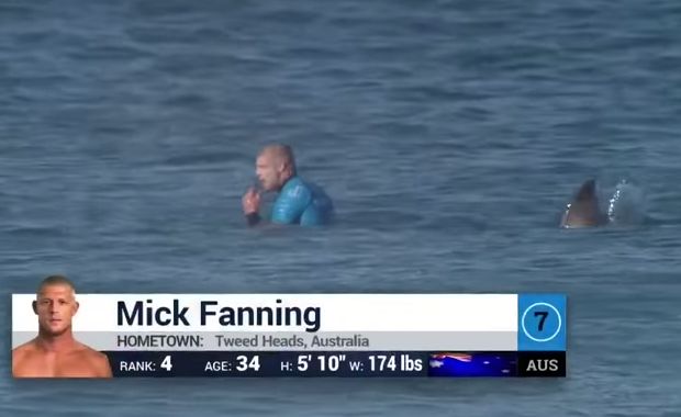 Pro Surfer Was Attacked By A Shark, But Fought Back… WATCH!