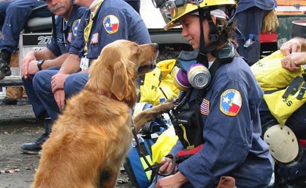 Last Living 9/11 Search And Rescue Dog Gets ‘Sweet 16’ Birthday Party