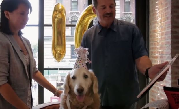 Source: BarkPost/YouTube