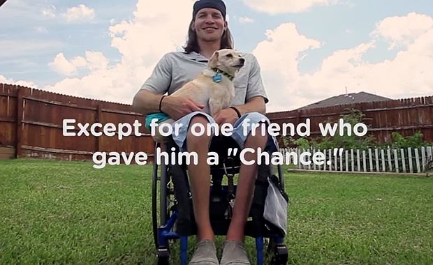 Left For Dead, This Dog Now Has A New ‘Chance’ At A Happy Life