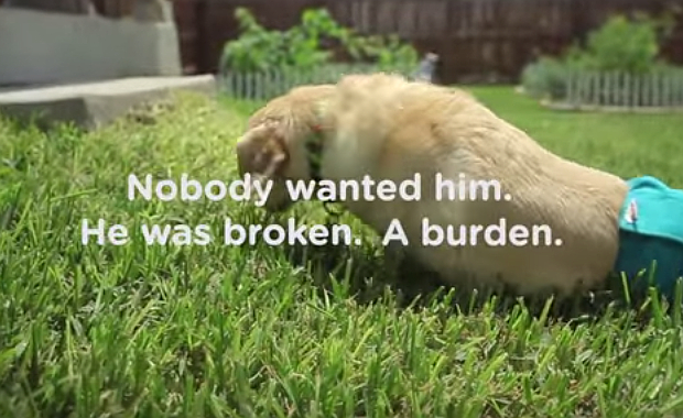 Source: Kleenex/YouTube