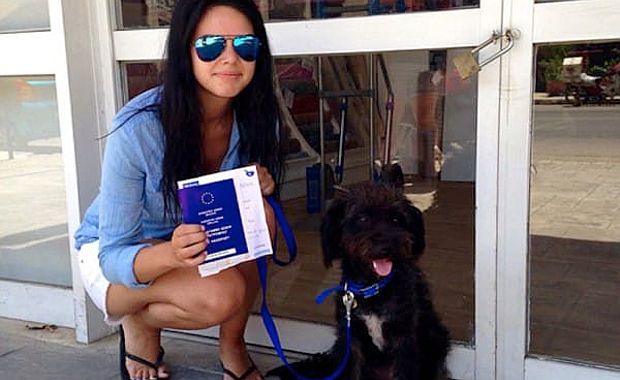 StraySavesWoman1_Top