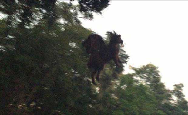 Source: Dave Black/NJ.com