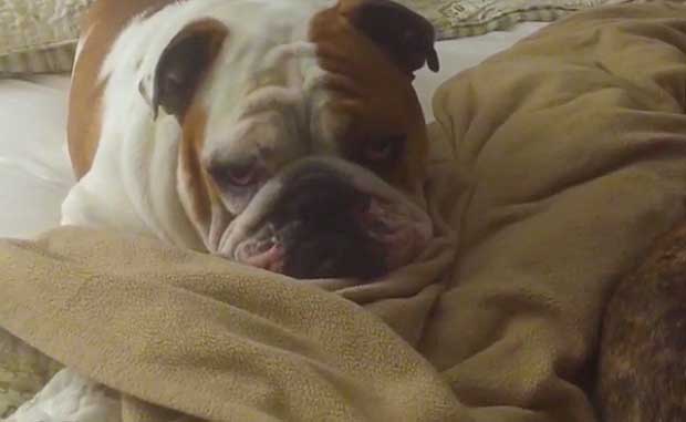 Source: Rumble/VonnyR