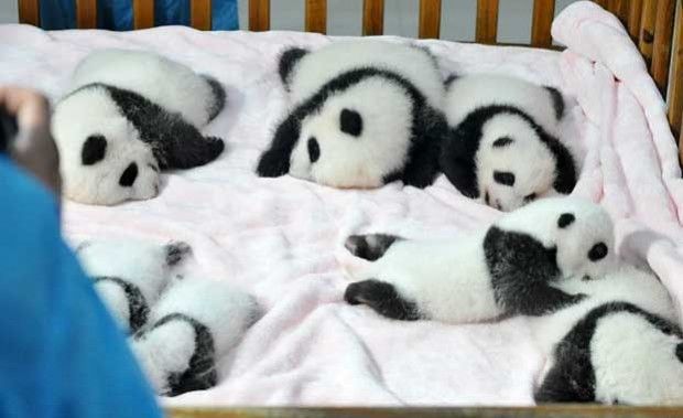 Credit: ChinaFotoPress/ChinaFotoPress via Getty Images