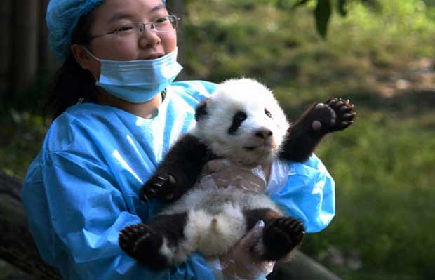 STR/AFP/Getty Images