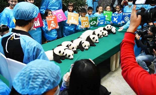 Credit: ChinaFotoPress/ChinaFotoPress via Getty Images