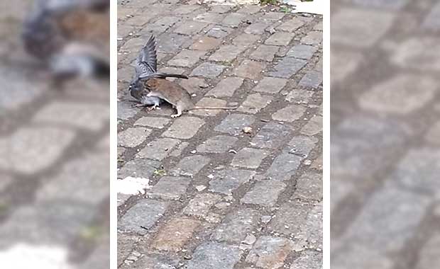 Source: YouTube/John Freund