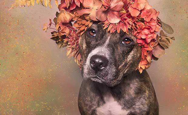 Credit: Sophie Gamand