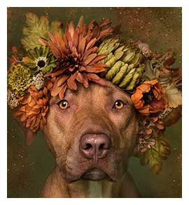 Credit: Sophie Gamand