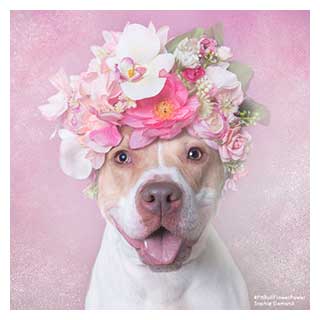 Credit: Sophie Gamand