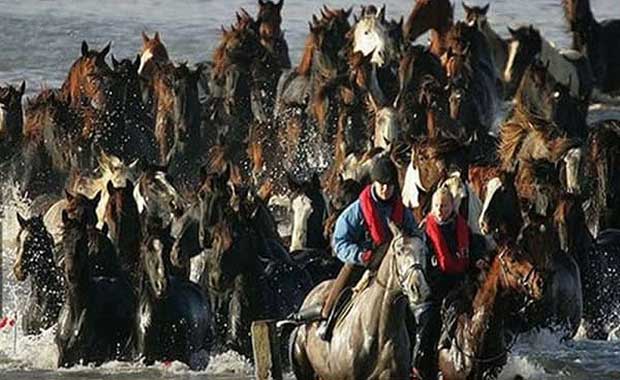 Credit: Peter DeJong / Wyoming News