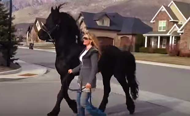 Source: YouTube/Carol Whitaker