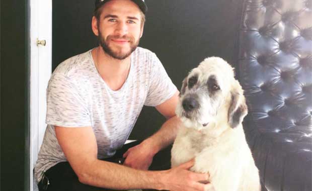 Source: Wylder's Holistic Pet Center/Instagram