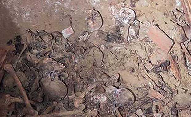 100-Year-Old Bones Discovered In Vault Near New York City Park
