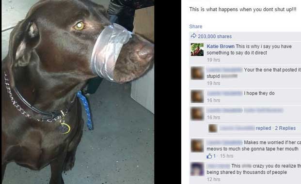Facebook Photo Of Dog’s Mouth Duct Taped Has Owner In Hot Water