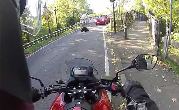 Source: ololondon1/Rumble