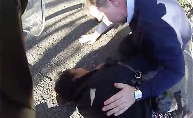 Source: ololondon1/Rumble