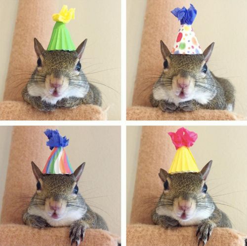 Credit: Instagram/@this_girl_is_a_squirrel