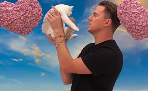 Channing Tatum Insulted A Kitten On ‘Jimmy Kimmel’ For Two Minutes And It Was Hilarious