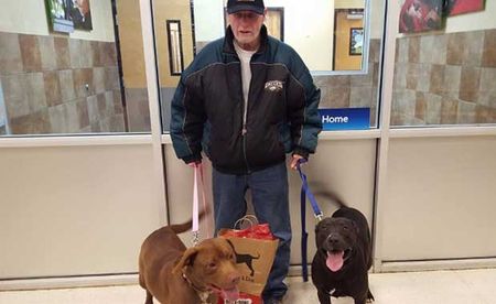 Vietnam Vet Reunited With Beloved Dogs Thanks to Strangers’ Generosity