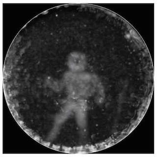 Courtesy SpeakDolphin.org