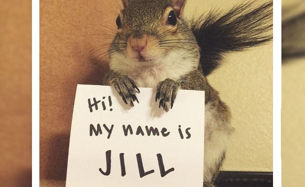 Credit: Instagram/@this_girl_is_a_squirrel
