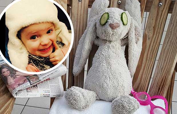 Forgotten Stuffed Bunny Gets Hotel Stay of a Lifetime
