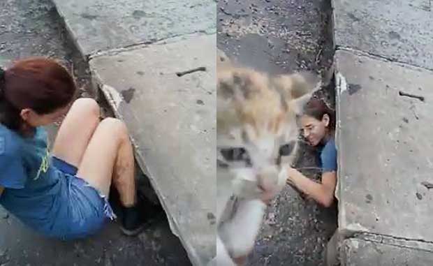 Woman Crawls Into Storm Drain to Save Abandoned Kitten