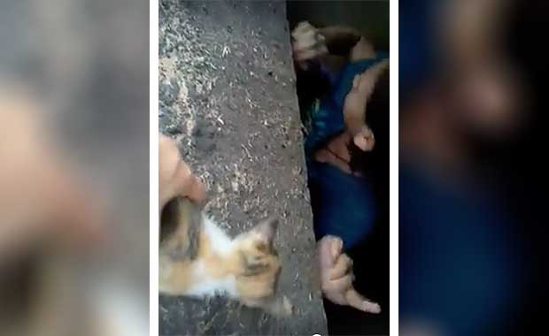 Source: Facebook/Horse Addicted