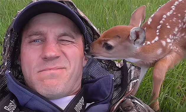 Abandoned Fawn Is Rescued, Nursed Back to Health, and Reunited With Mother