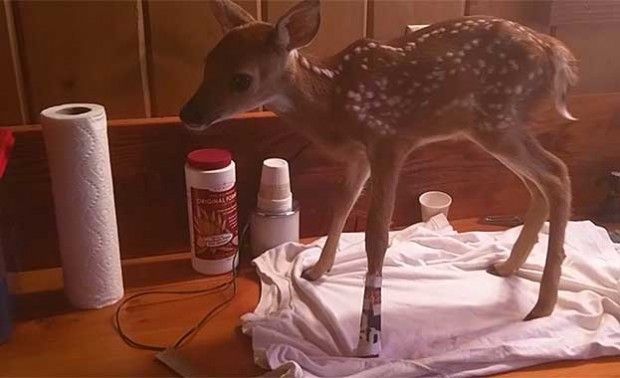 Source: YouTube/Honeysada