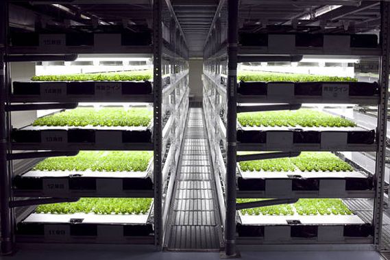 World’s First Robot Farm to Open in 2017