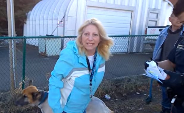 Source: Northern Life