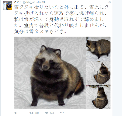 Tanuki