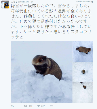 TanukiPost