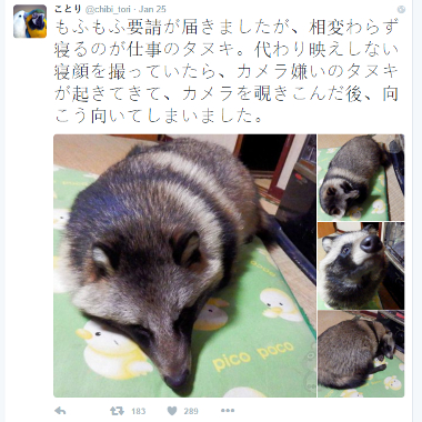 TanukiPost2