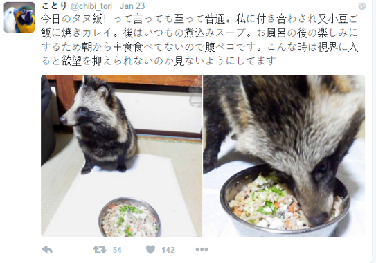 TanukiPost4
