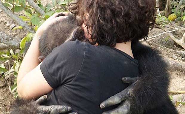 Stranded Chimp on Island Welcomes Rescuers With a Hug