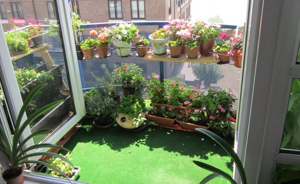 How to Garden in Your Apartment