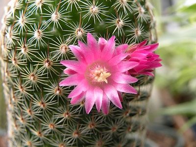 Source: Warpedphotosblog.com