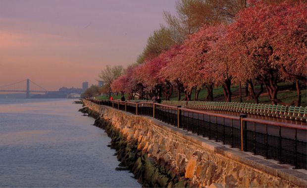 Source: jakerajs.photoshelter.com